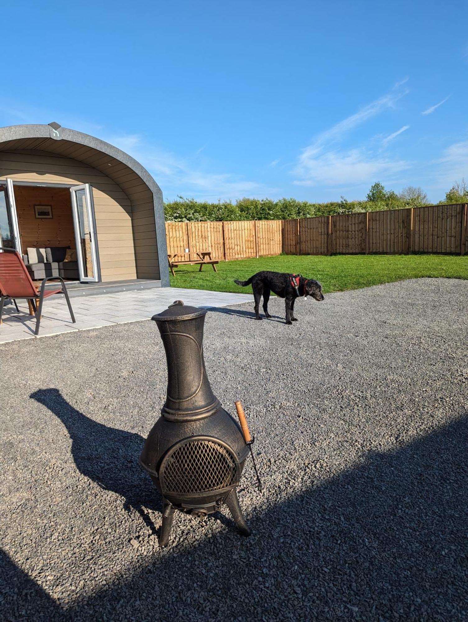 My Happy Hounds Glamping * Northallerton